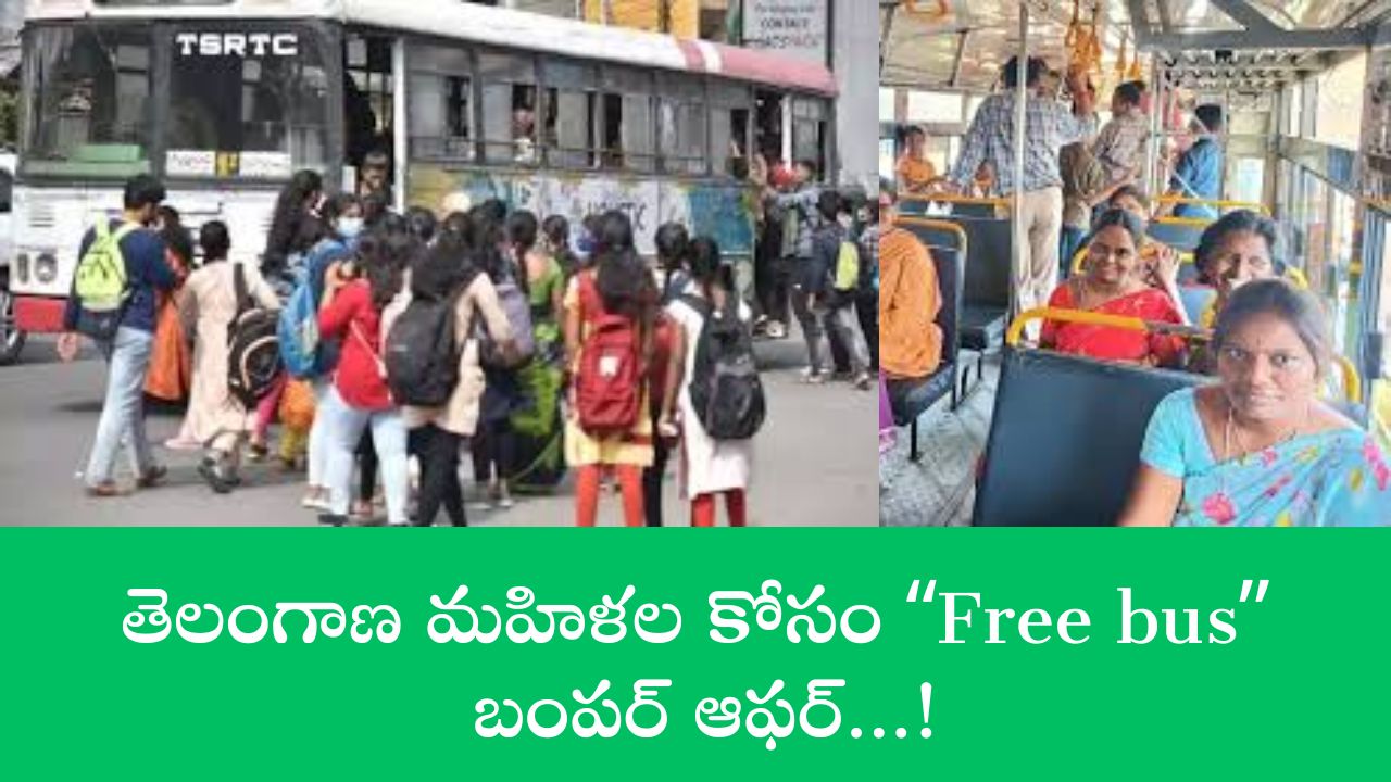 Free Bus