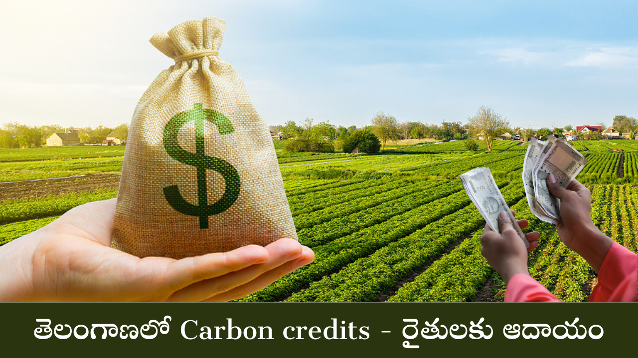 Carbon credits