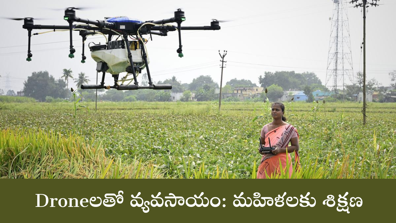 Drone