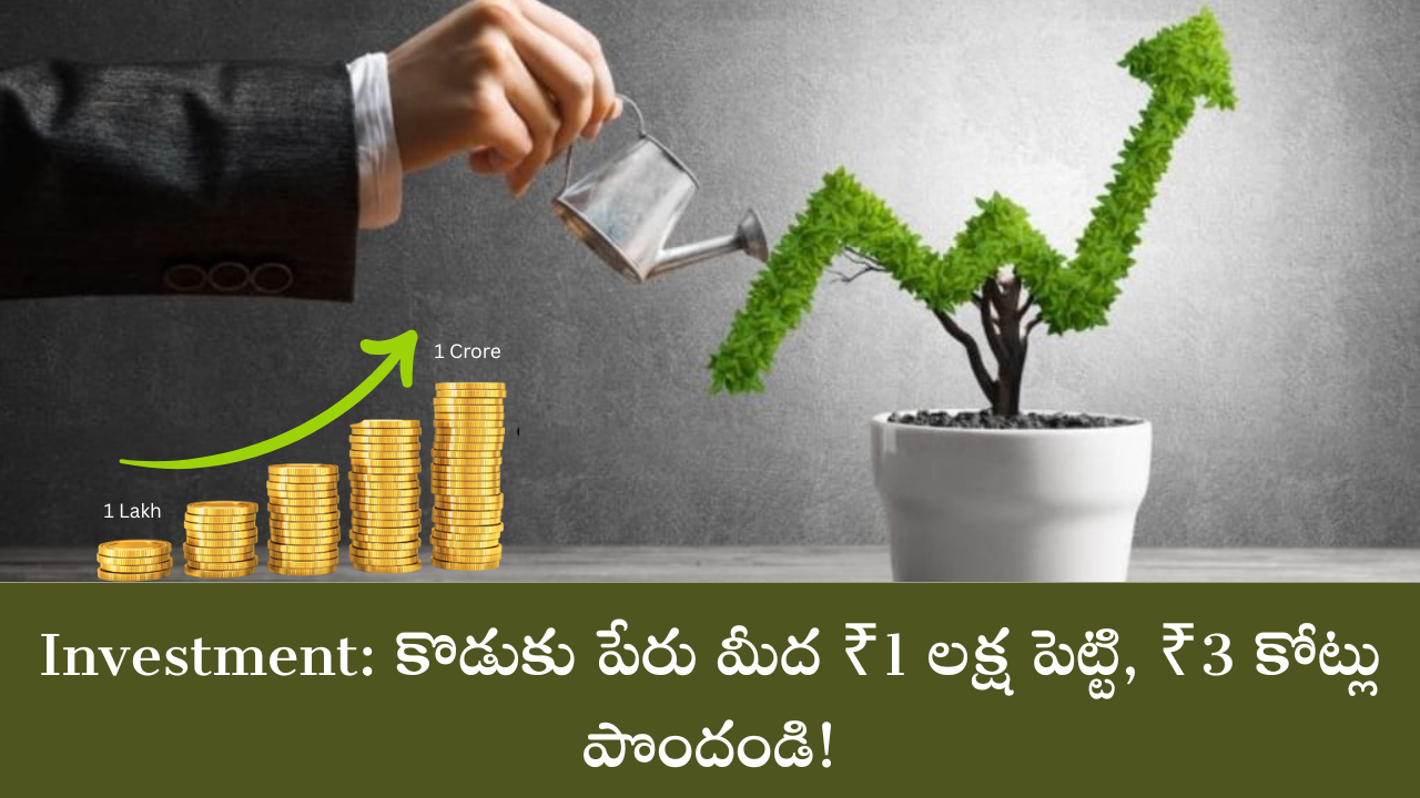 Investment
