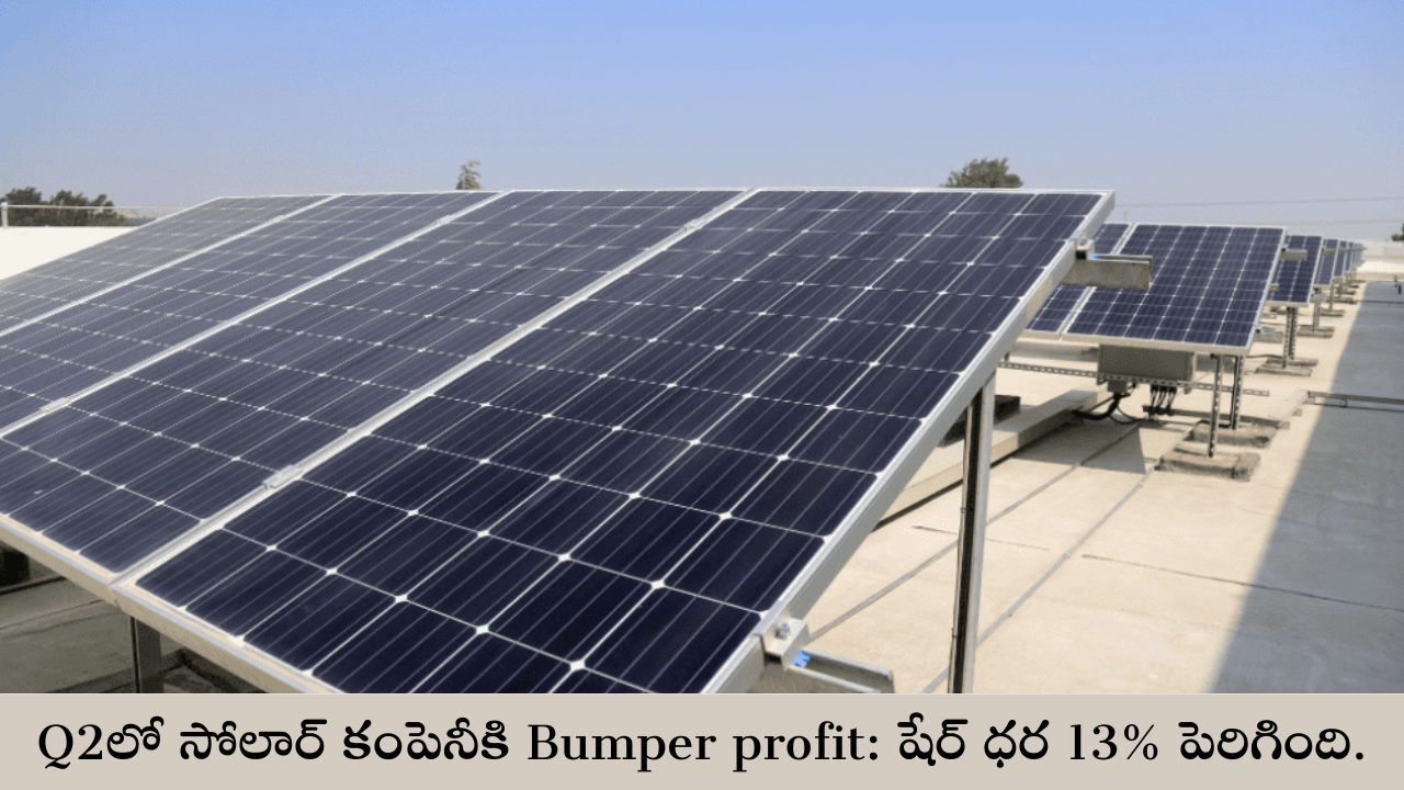 Bumper profit